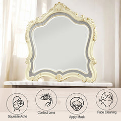 ACME Chantelle Mirror – side view – Lusso Furniture Miami