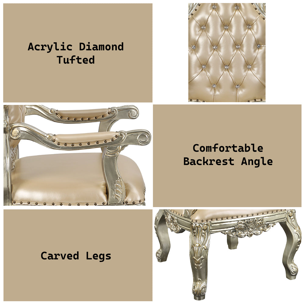 ACME Sorina Arm Chair Set of 2 – alternate view – Lusso Furniture Miami