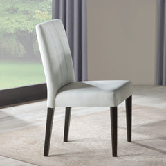 ACME Carena Side Chair Set of 2 – front view – Lusso Furniture Miami