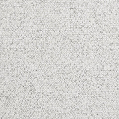 ACME Jirina Arm Chair Set of 2 – back view – Lusso Furniture Miami