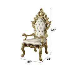ACME Desiderius Arm Chair Set of 2 – alternate view – Lusso Furniture Miami