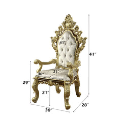 ACME Desiderius Arm Chair Set of 2 – view 11 – Lusso Furniture Miami