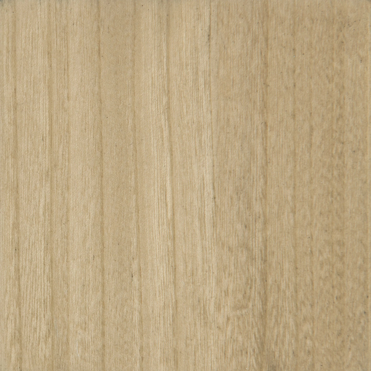 Caracole Cape Verde Cocktail Table – view 13 – Lusso Furniture Miami
