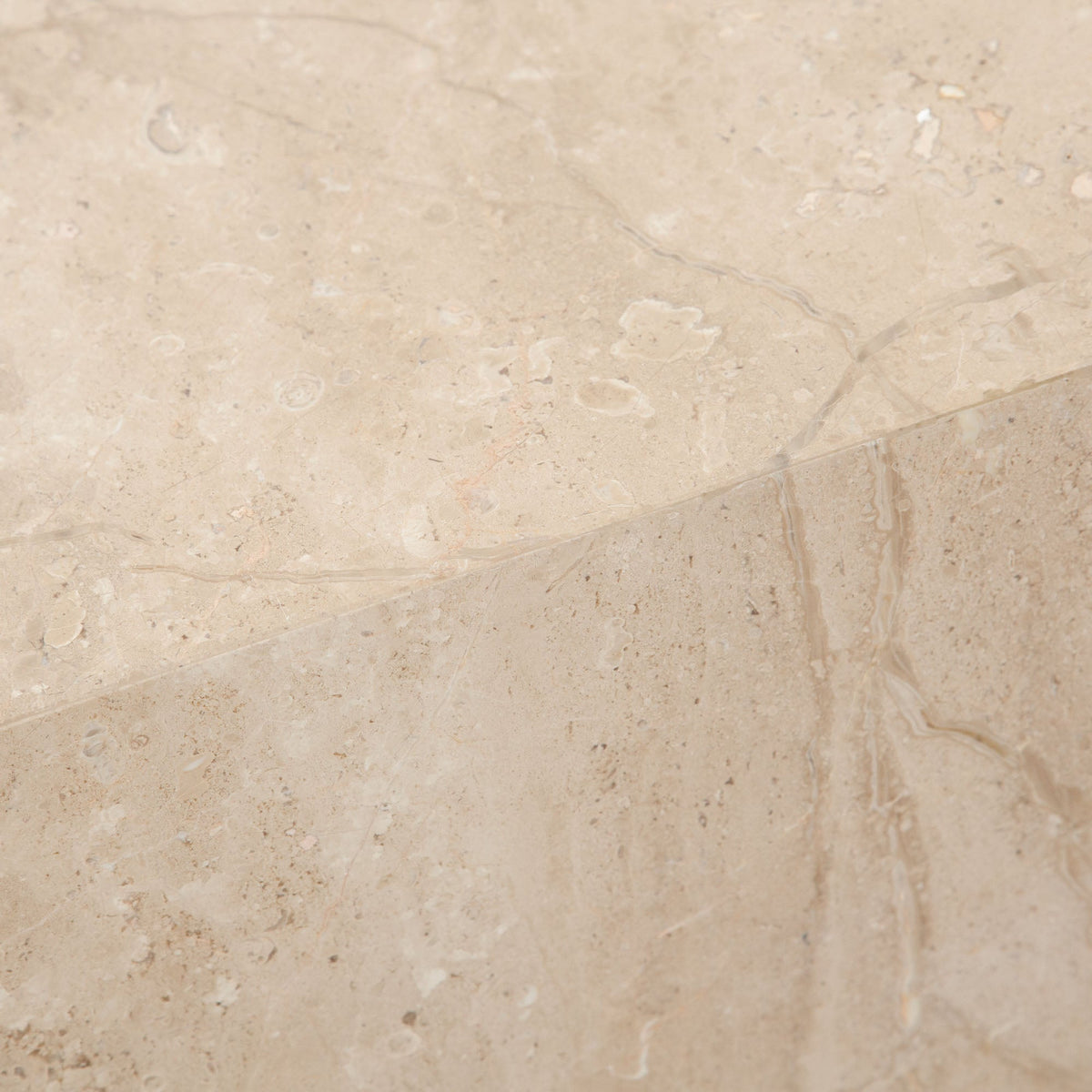 Ark Marble Pedestal End Table – view 12 – Lusso Furniture Miami