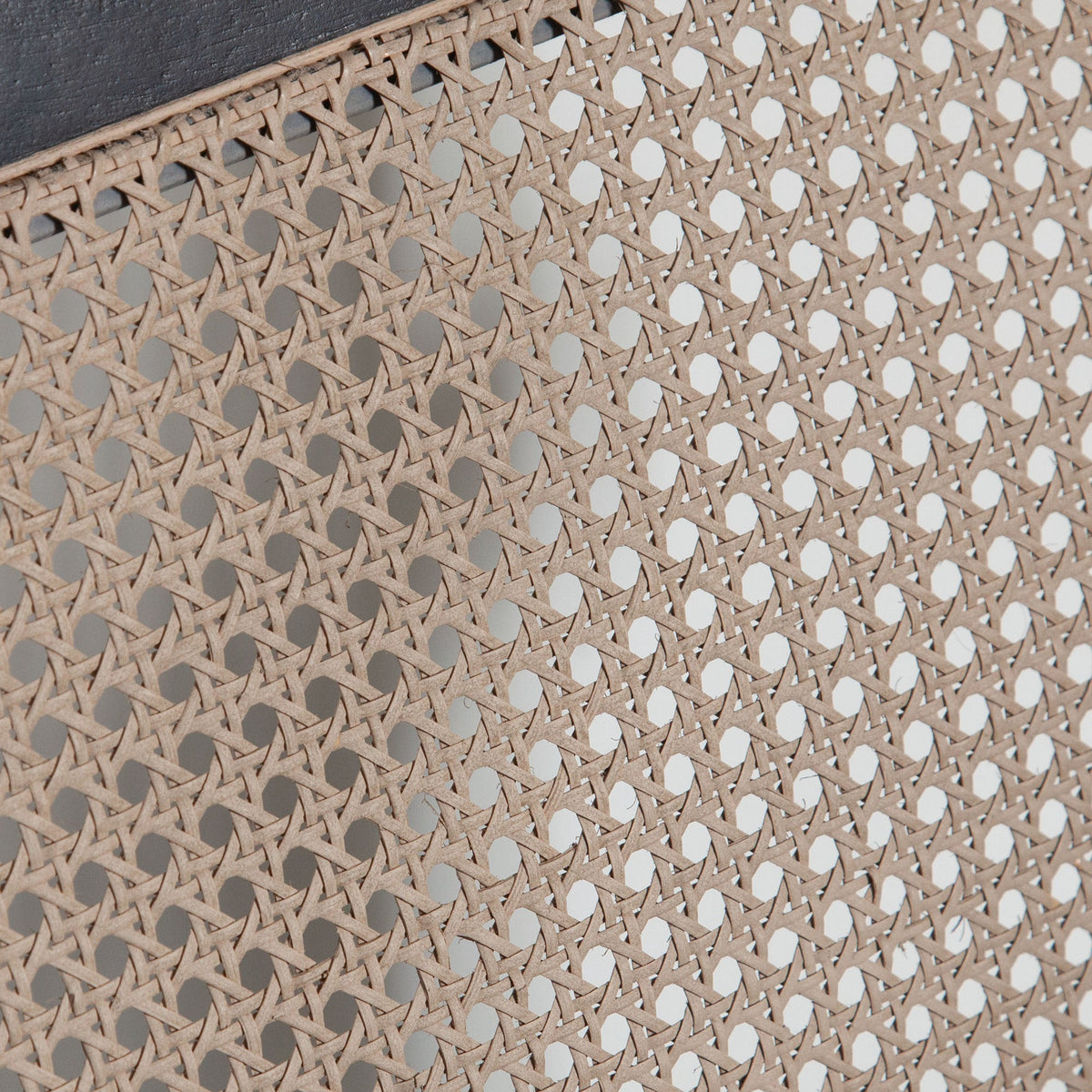Carter Cane Back Dining Chair – back view – Lusso Furniture Miami
