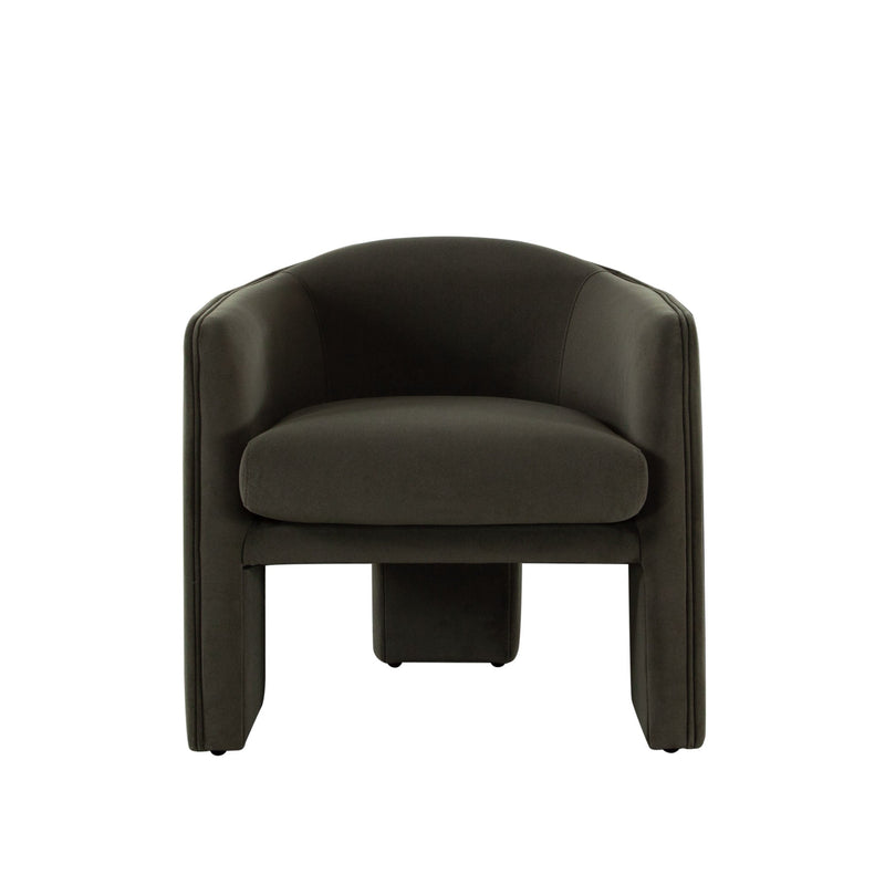 Leyah Performance Velvet Accent Chair-zoom-