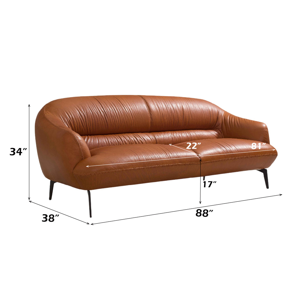ACME Leonia Sofa – back view – Lusso Furniture Miami