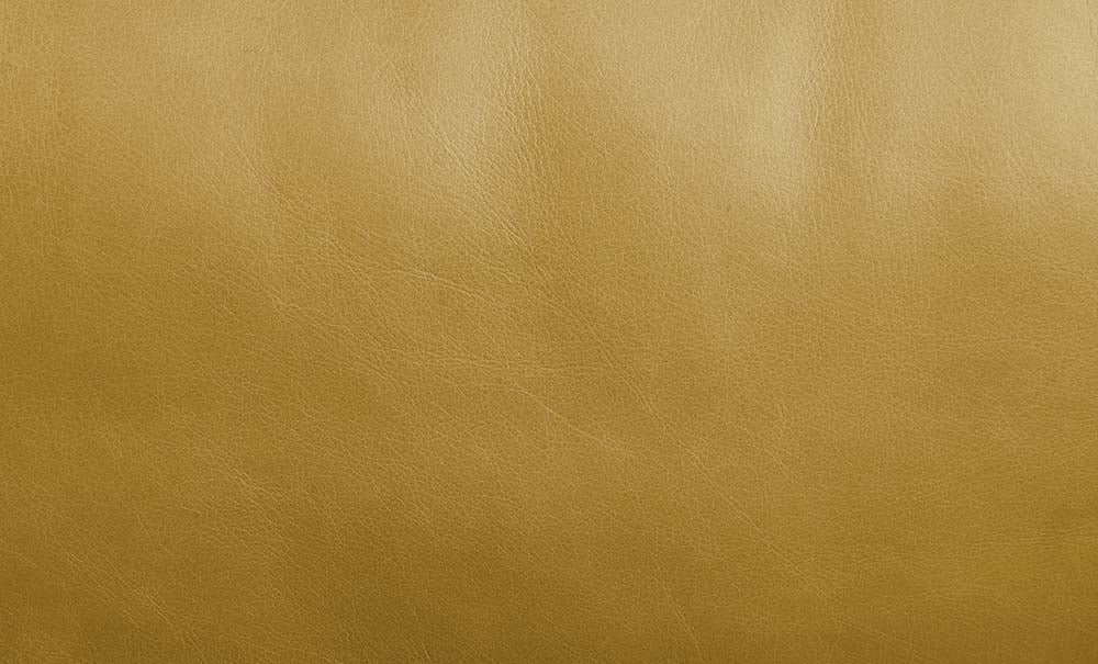 ACME Radia Sofa – back view – Lusso Furniture Miami