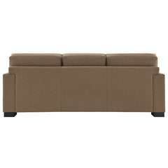 ACME Darya Sofa – room setting – Lusso Furniture Miami