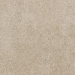 ACME Elison Motion Sofa – close-up – Lusso Furniture Miami
